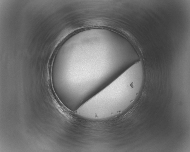 X0000077991031200610270941
