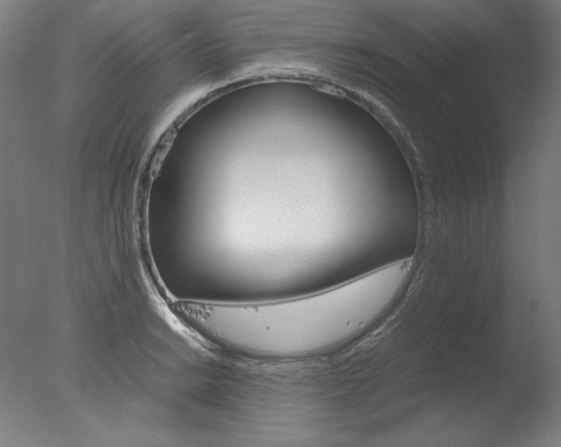 X0000077991038200610270941