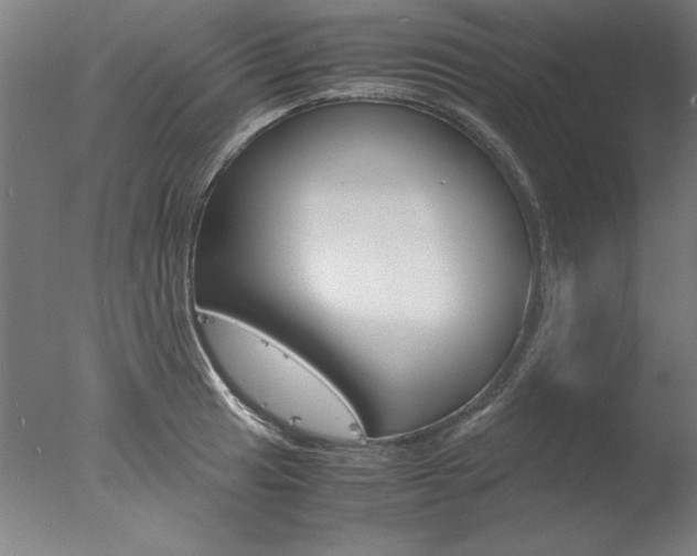 X0000077991041200610270941