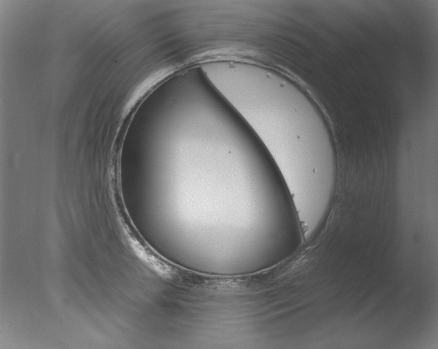 X0000077991042200610270941