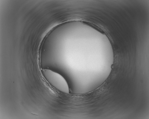 X0000077991051200610270942