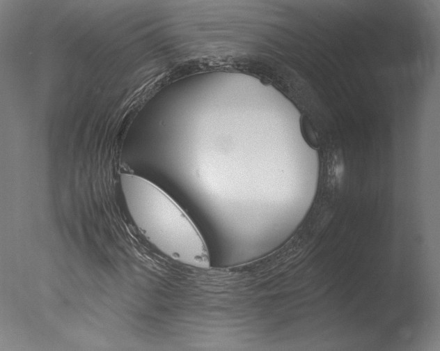X0000077991060200610270941
