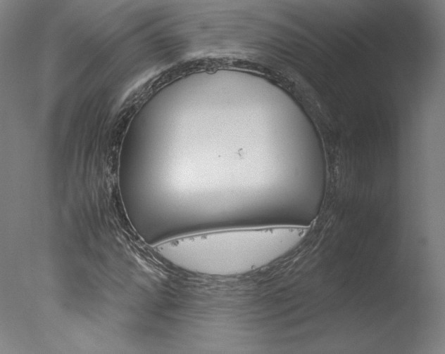 X0000077991064200610270941