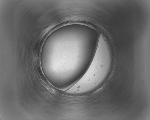 X0000077991065200610270941