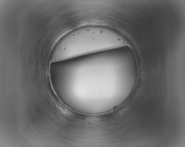 X0000077991073200610270941