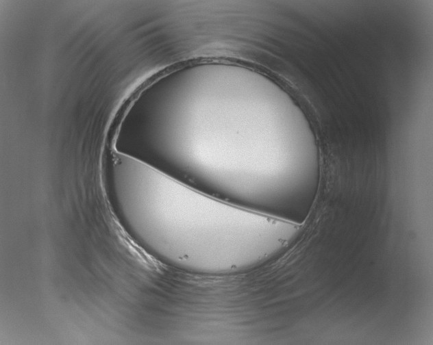 X0000077991076200610270941