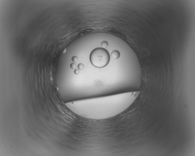 X0000077991106200610270939