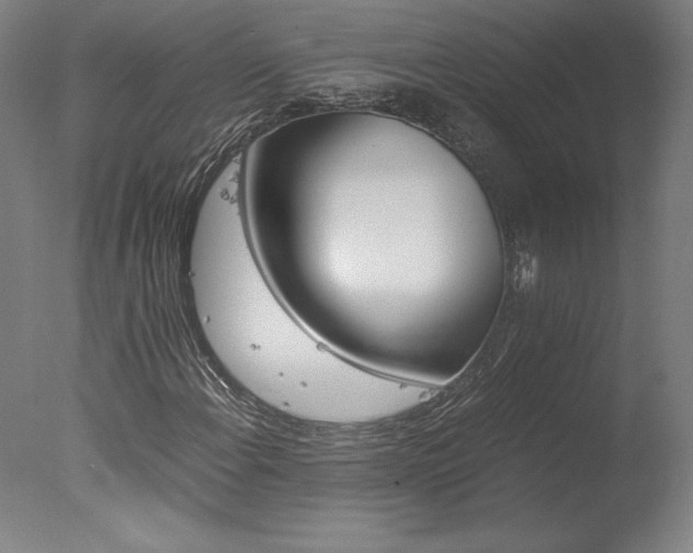 X0000077991108200610270939