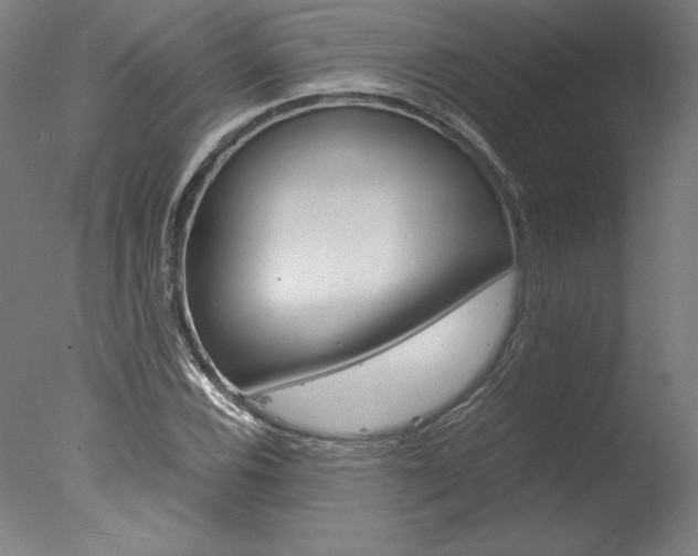 X0000077991116200610270939