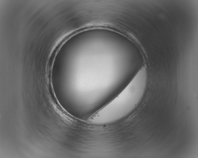 X0000077991124200610270940