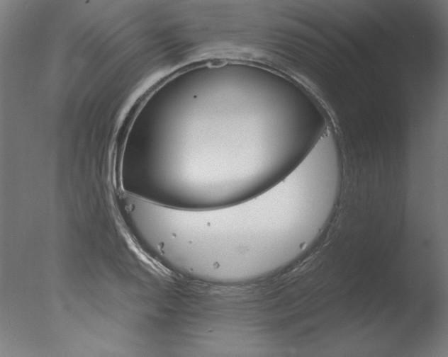 X0000077991128200610270940