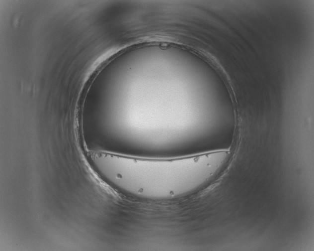 X0000077991133200610270940