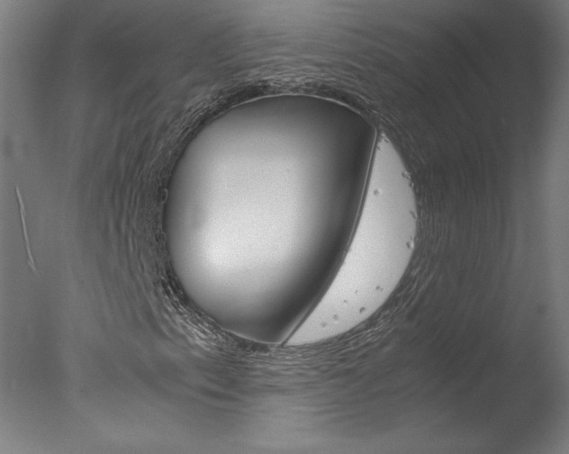 X0000077991153200610270939