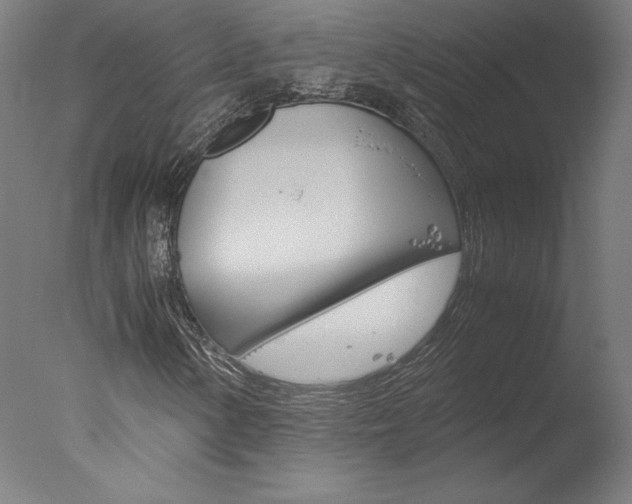 X0000077991154200610270939
