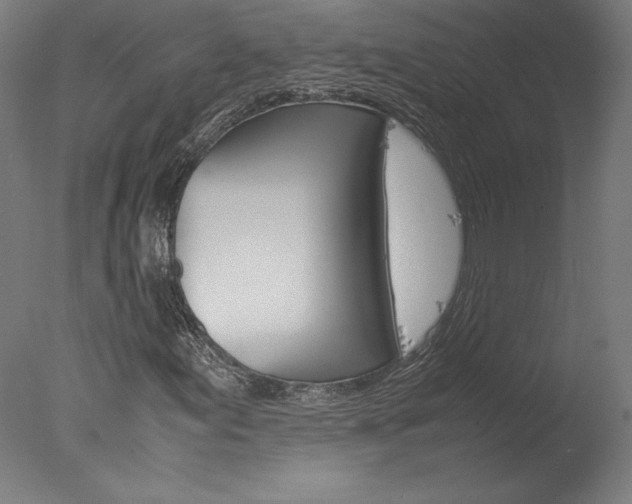 X0000077991155200610270939