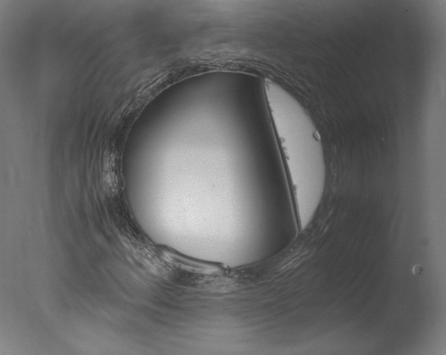 X0000077991156200610270939