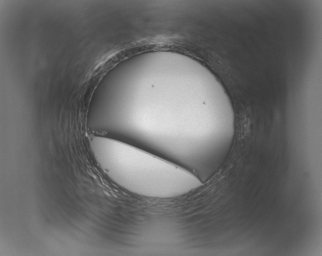 X0000077991158200610270939