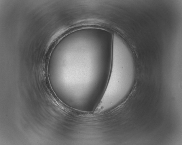 X0000077991164200610270939