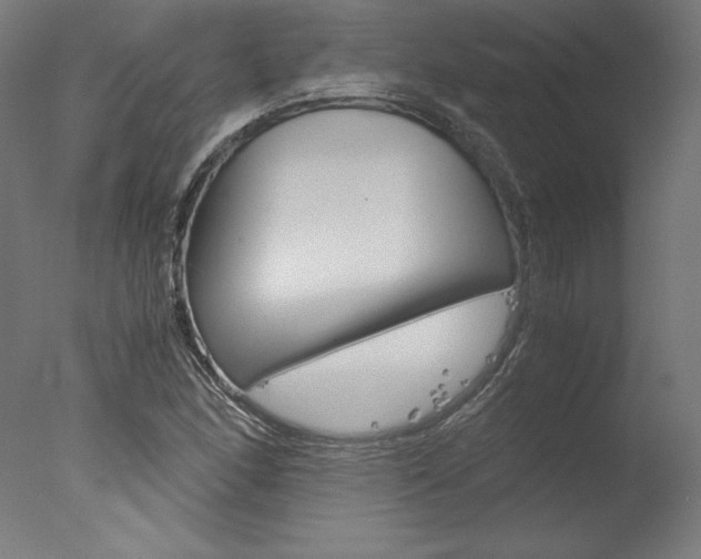 X0000077991166200610270939