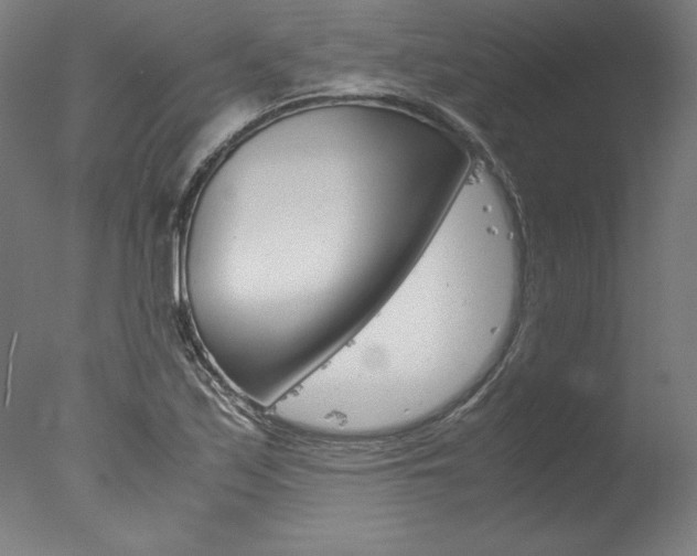 X0000077991171200610270939