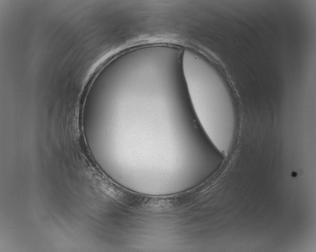 X0000077991174200610270939