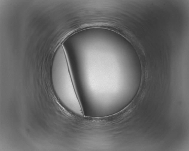 X0000077991177200610270939