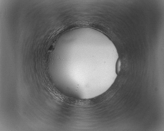 X0000077991201200610270938