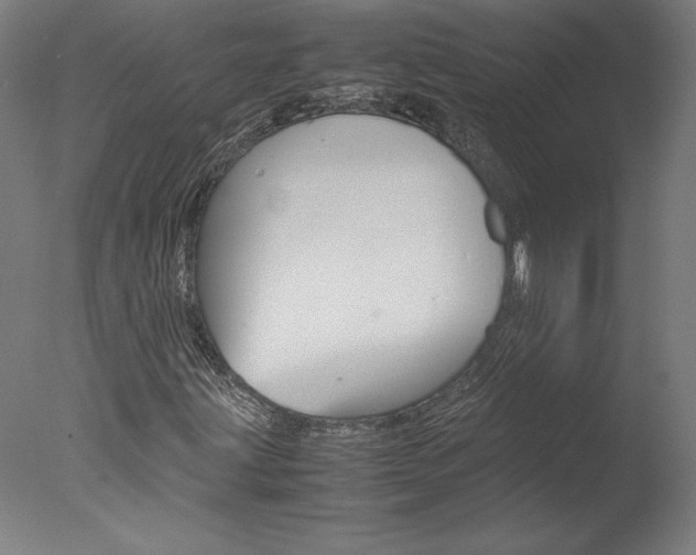 X0000077991203200610270938