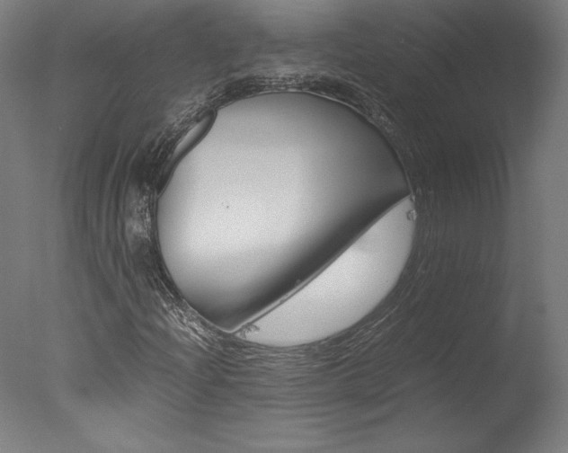 X0000077991204200610270938