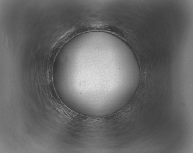 X0000077991205200610270938