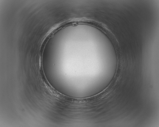X0000077991221200610270938