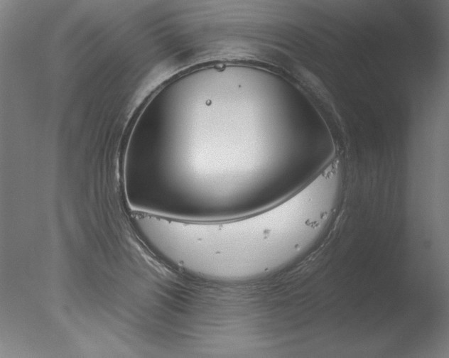 X0000077991226200610270938