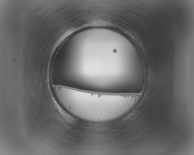 X0000077991229200610270938