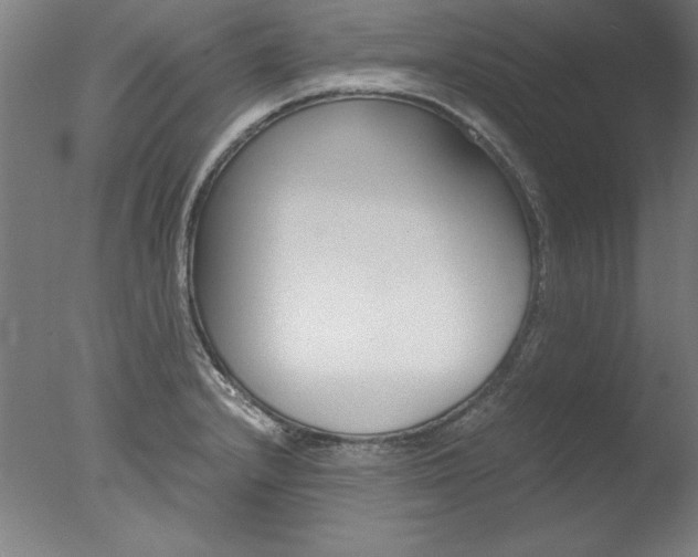 X0000077991232200610270938