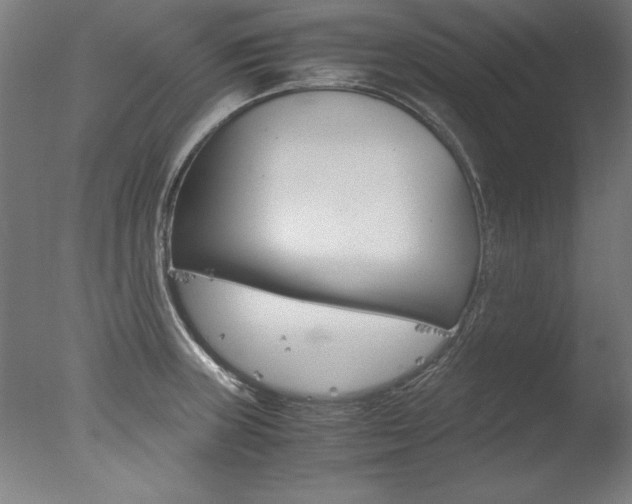 X0000077991235200610270938