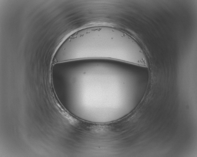 X0000077991236200610270938
