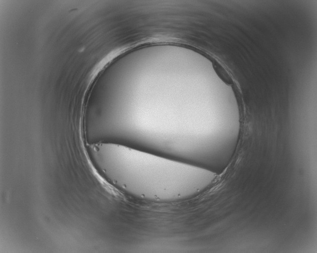 X0000077991245200610270938