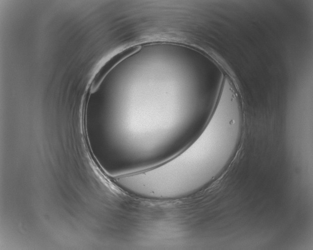 X0000077991246200610270938