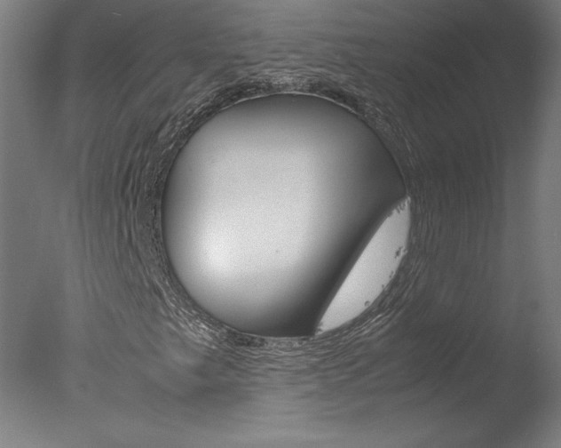 X0000077991249200610270938