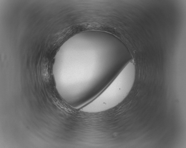 X0000077991250200610270938