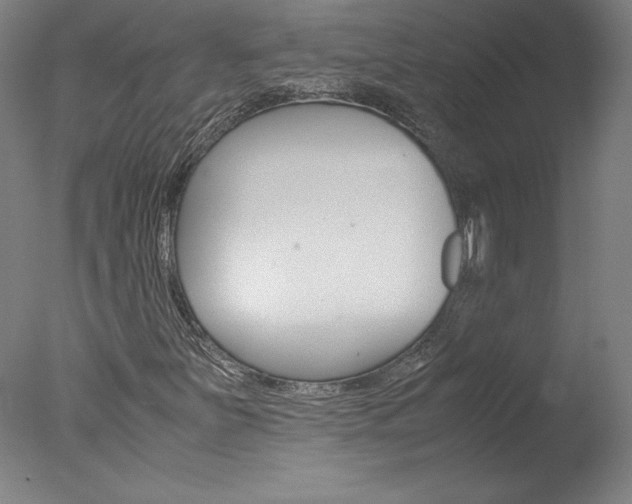 X0000077991251200610270938