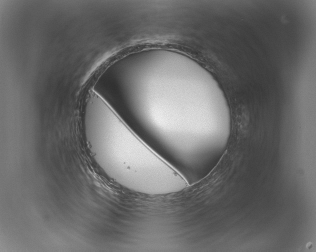 X0000077991256200610270938