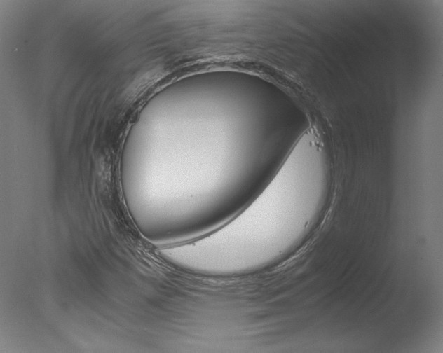 X0000077991257200610270938