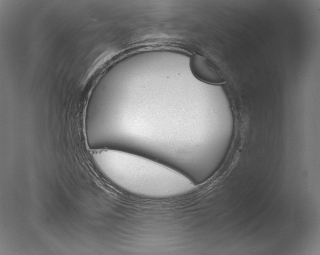 X0000077991259200610270938