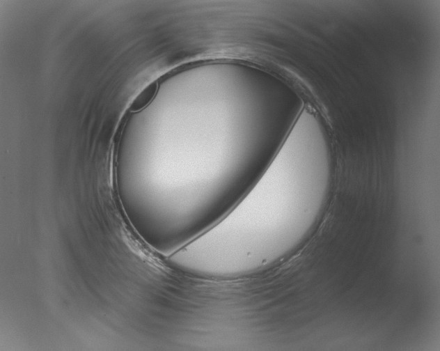 X0000077991276200610270937