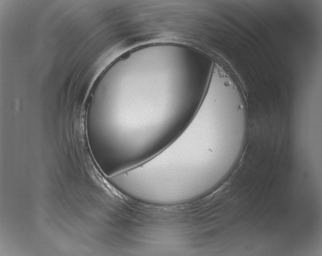 X0000077991292200610270937