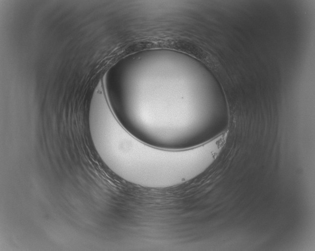 X0000077991298200610270936