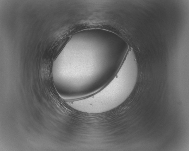 X0000077991300200610270936