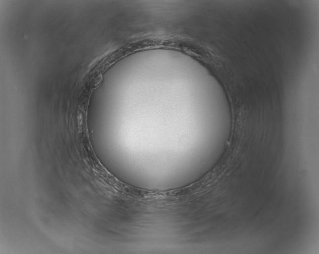 X0000077991302200610270936