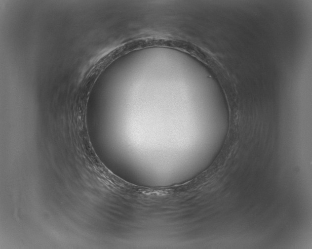 X0000077991303200610270936